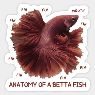 Anatomy of a Betta Fish, Funny Labels Sticker